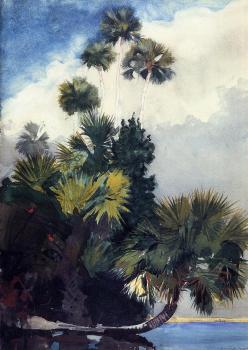 溫斯洛 荷默 Palm Trees, Florida